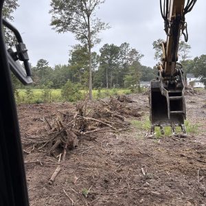 Land clearing and grubbing on a job site